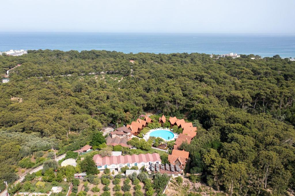 an aerial view of a mansion with a pool in the forest at Woodline Hotel in Kemer