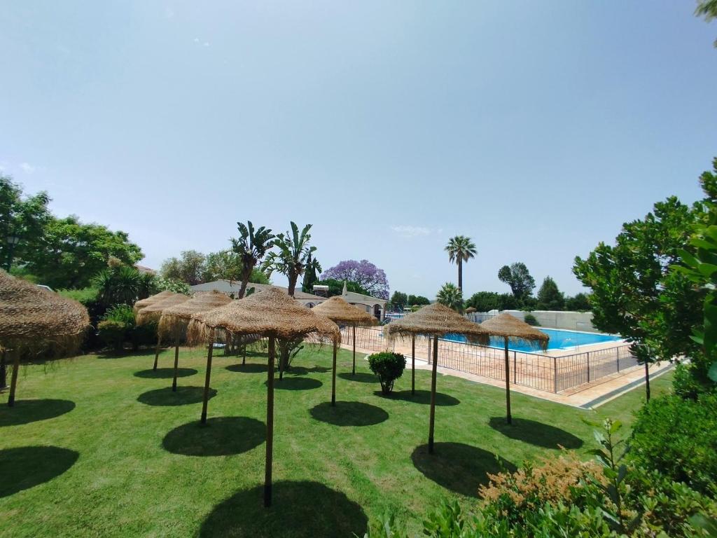 un grupo de sombrillas de paja y una piscina en Casa Victor, en São Brás de Alportel