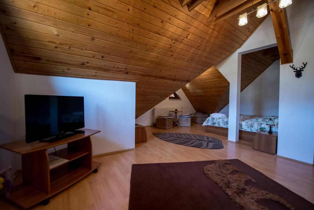 TV a/nebo společenská místnost v ubytování Camere de inchiriat Cascada