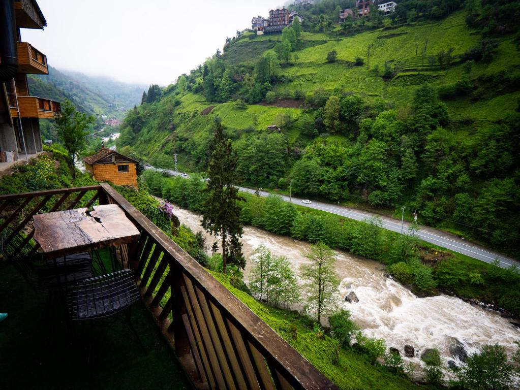 Naturlandskabet i nærheden af hotellet