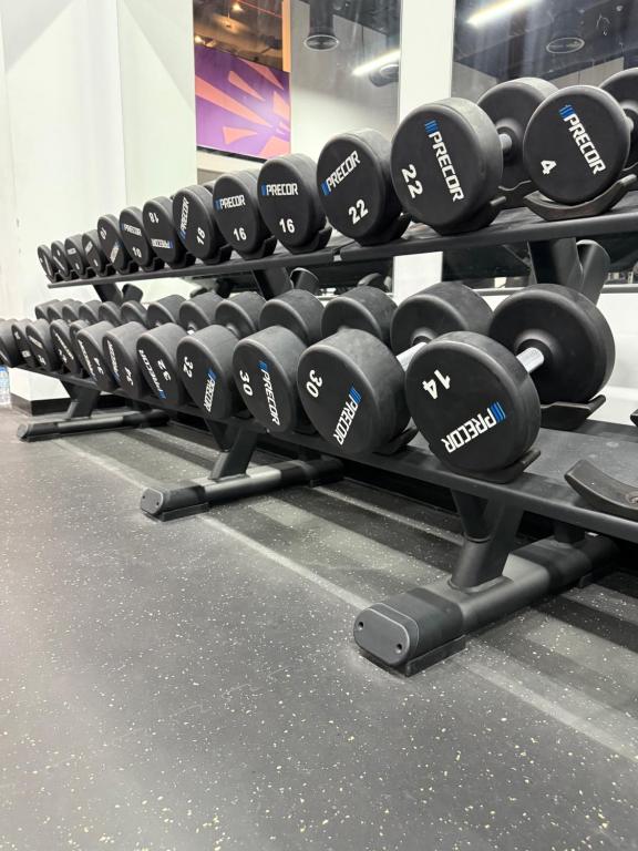 Fitness centrum a/nebo fitness zařízení v ubytování 1 BR Luxury Apt by AJ Aljada