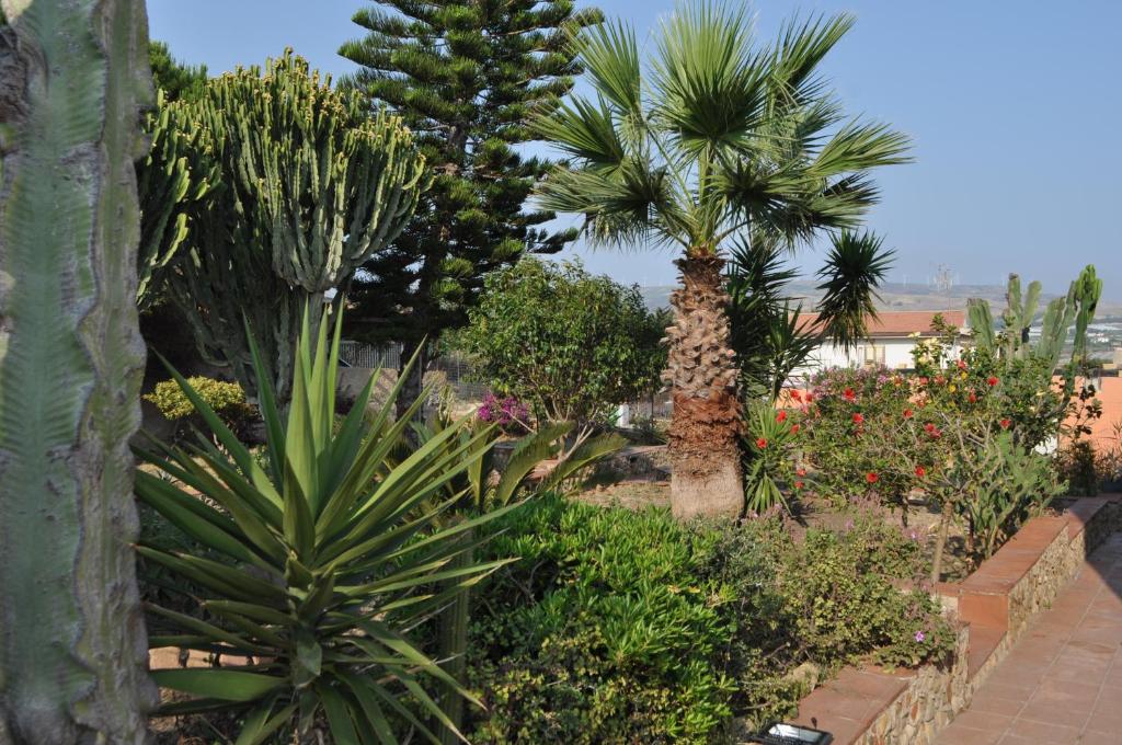 a garden with palm trees and other plants at Case Vacanza Punta Bianca in Agrigento