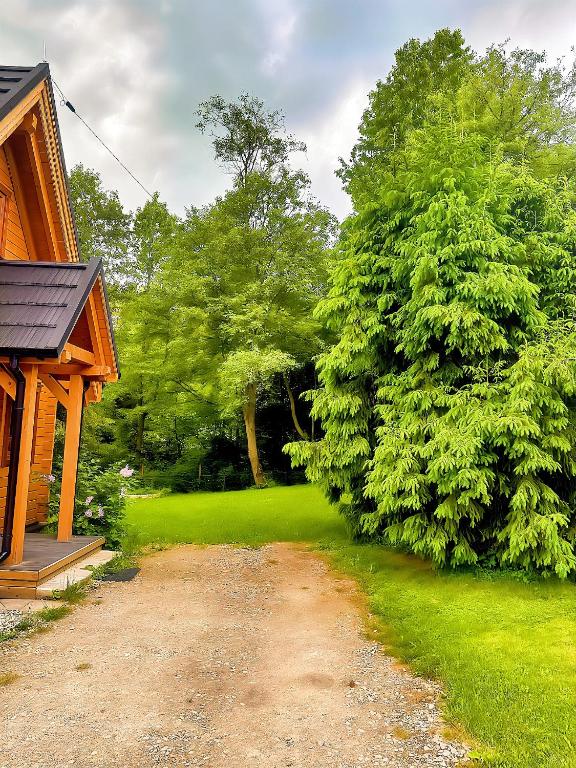 Príroda v okolí horskej chaty