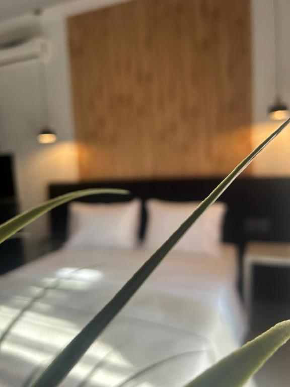 CROSS PLAZA, Stavros (updated prices 2025) - 14