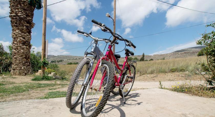 Jízda na kole v ubytování Tania village Zakros maisonette nebo okolí