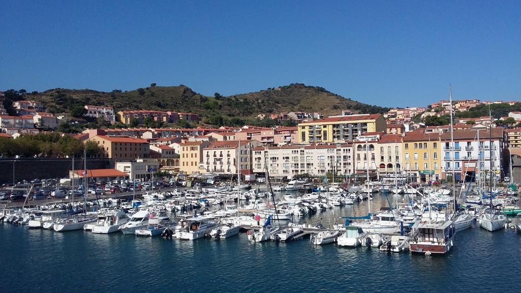 un groupe de bateaux est amarré dans un port dans l'établissement La belle douanière, à Port-Vendres