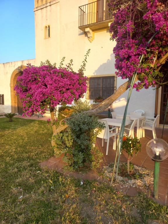 Zahrada ubytování villa amodeo