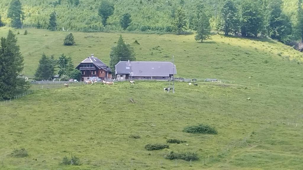 Příroda nedaleko apartmánu