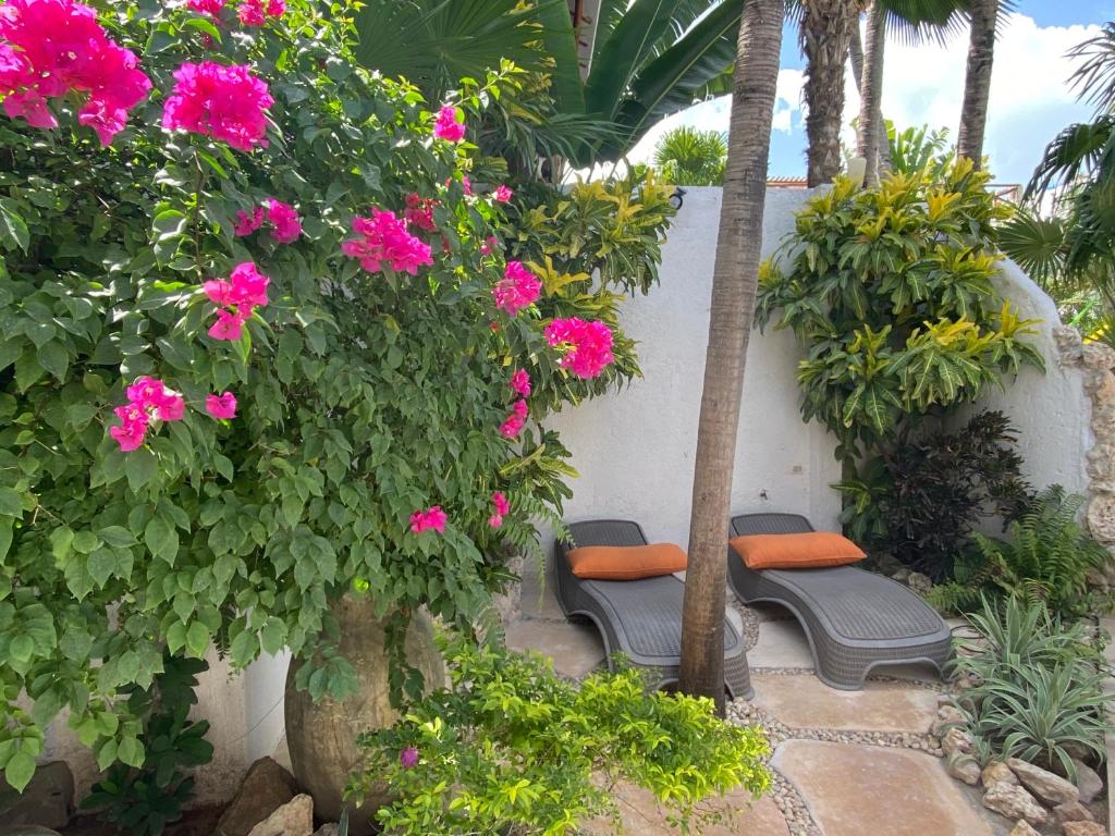 three chairs sitting next to a wall with pink flowers at Hotel Para Ti - Adults Only in Holbox Island