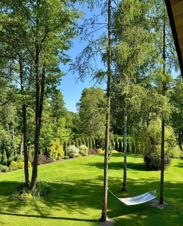 a hammock in the middle of a lawn with trees at Leśne zacisze nad Narwią in Ostrykół Włościański