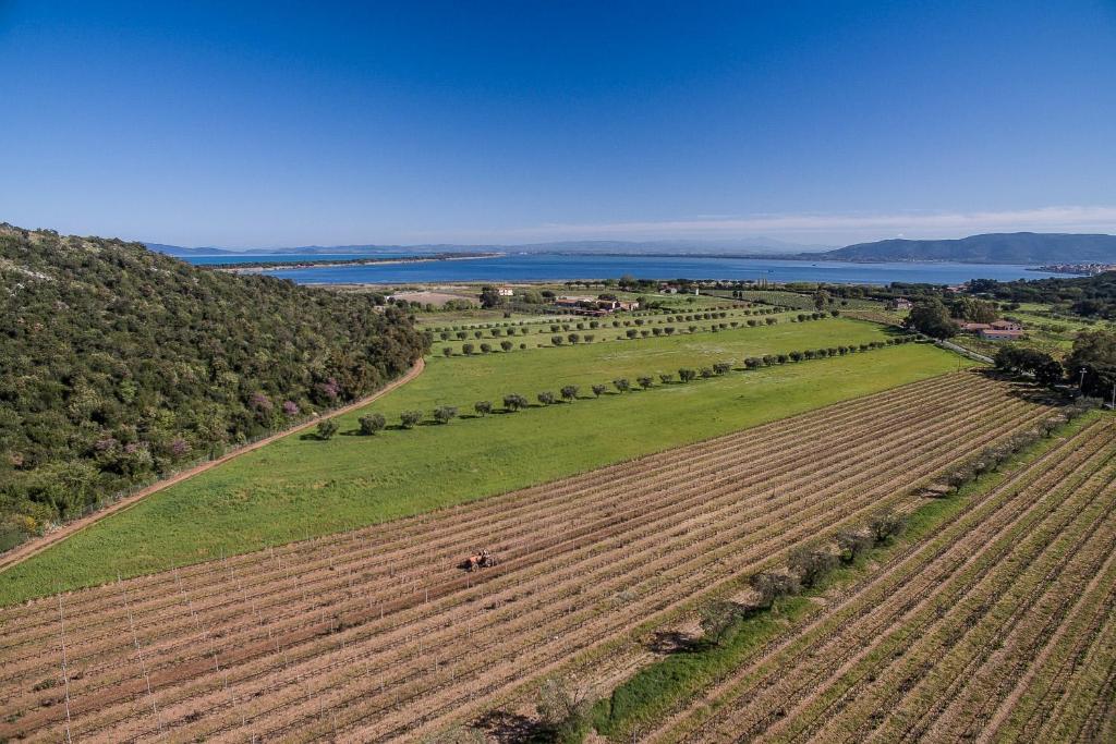 an aerial view of a field with a farm implement at Agriturismo Ristorante Monte Argentario in Monte Argentario