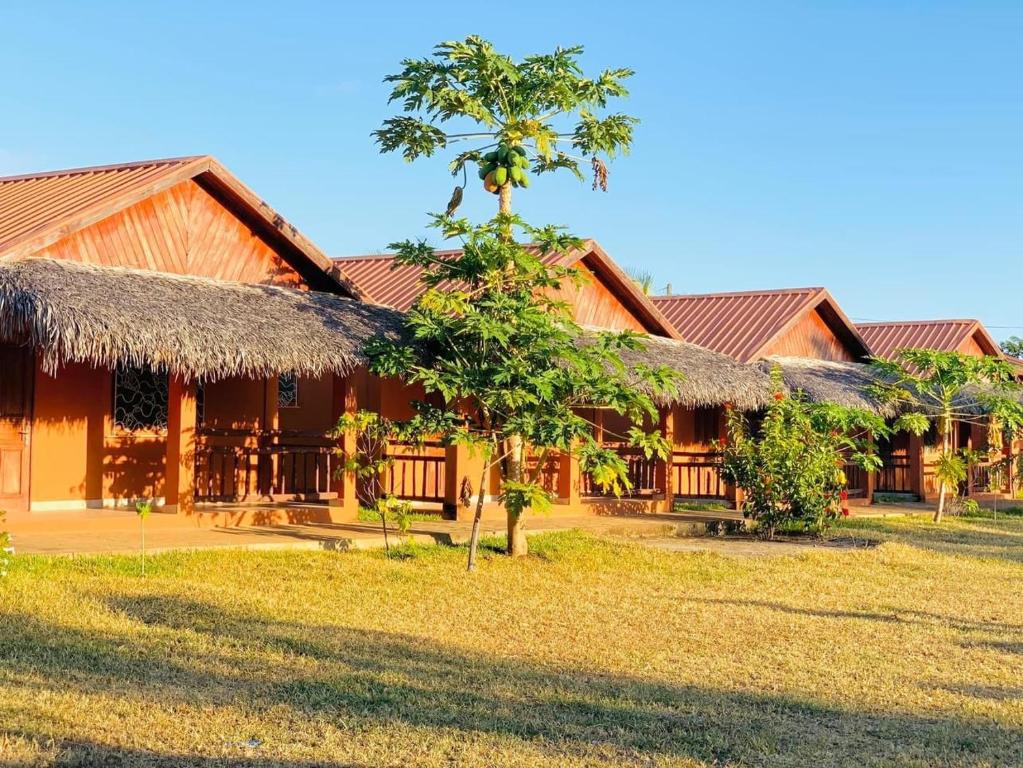 a house with a straw roof at Auberge Rivatsara Madirokely in Ambondrona