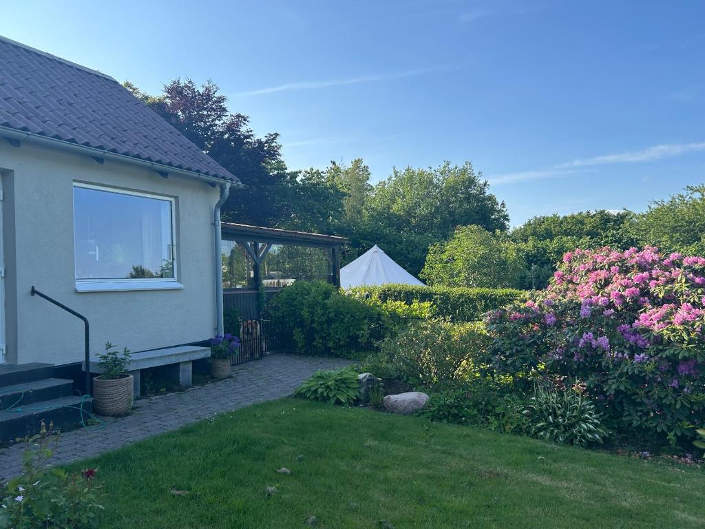 Zahrada ubytování Cozy Garden Glamping
