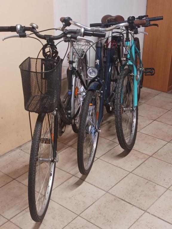 Jazda na bicykli v okolí ubytovania Gîte des bords de l Eure 4 chambres 2 SDB et parking