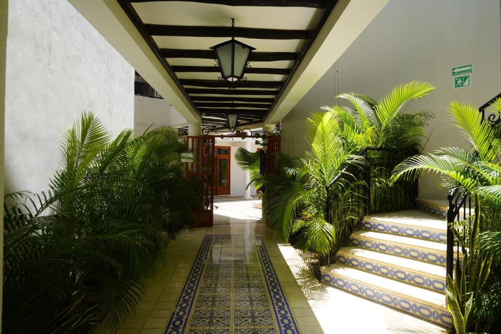 Foto de la galeria de Frater Yucatán Hotel a Valladolid
