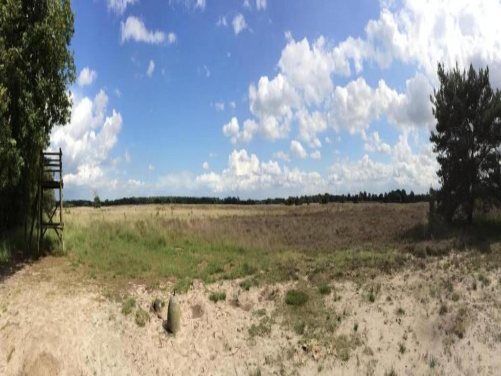 Příroda nedaleko chaty