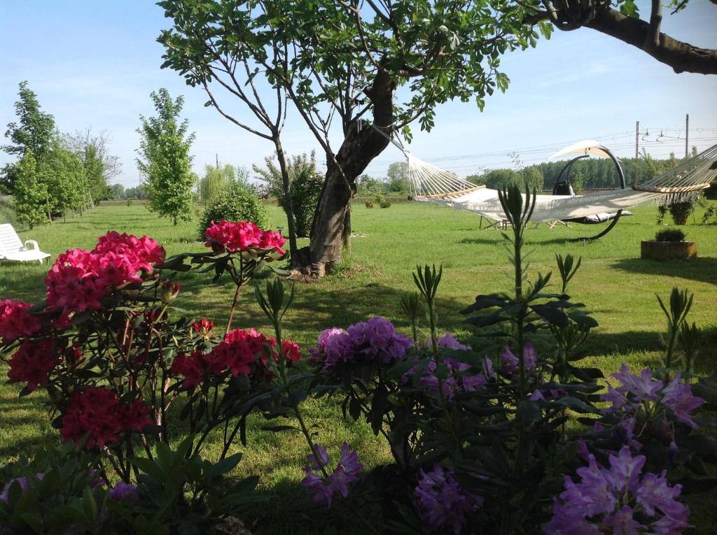 un jardin avec des fleurs roses et violettes dans l'herbe dans l'établissement B&B La Castellana, à Borgo Lavezzaro