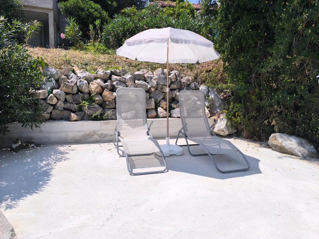 Zahrada ubytování Apartment Krasici