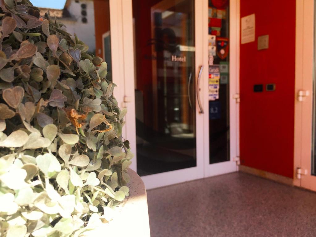 Exteriér nebo vchod ubytování Hotel Rubicone
