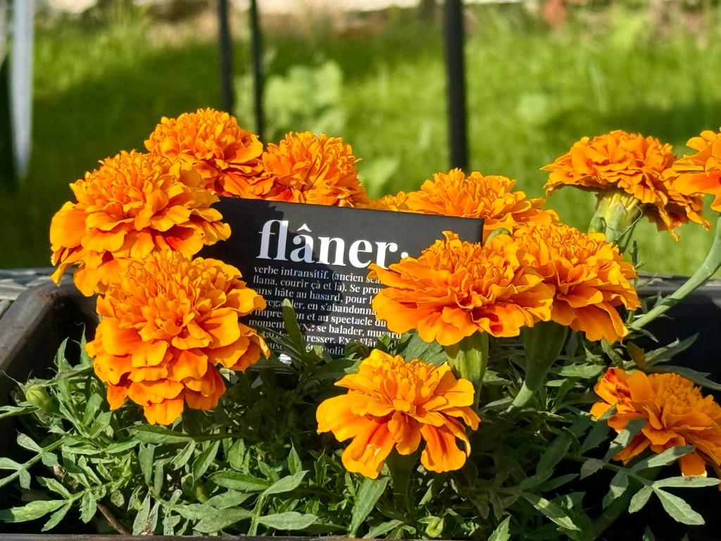 Gallery image of Flâneur in Kallithea Halkidikis