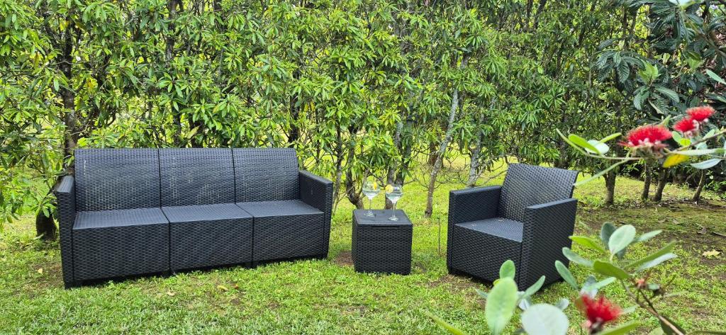 Zahrada ubytování Parque de Campismo Rural Quinta das Laranjeiras