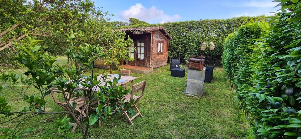 Zahrada ubytování Parque de Campismo Rural Quinta das Laranjeiras