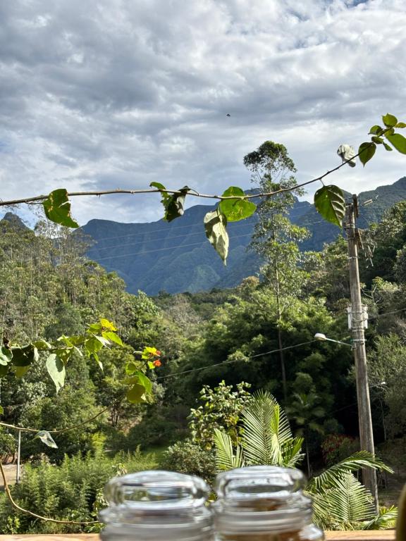 Fotografie z fotogalerie ubytování Casa das Palmeiras Pousada v destinaci Treviso
