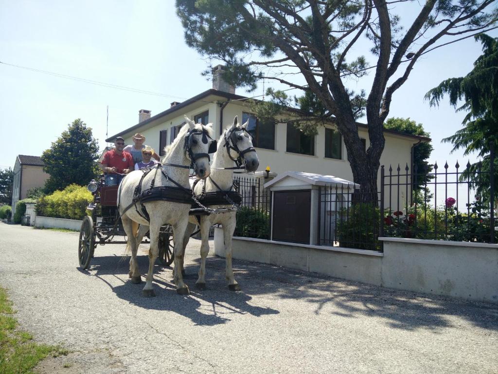 two white horses pulling a carriage in front of a house at La Siesta in Villafranca di Verona