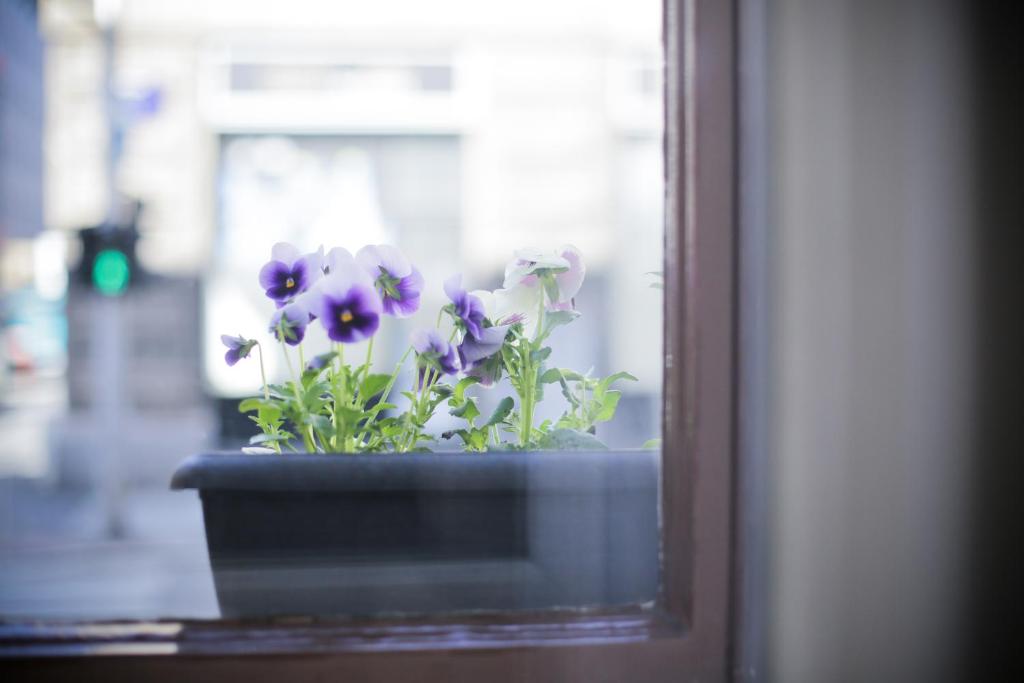 4citywindows - Resim 26