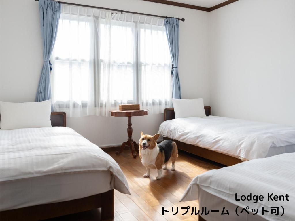 Postel nebo postele na pokoji v ubytování Lodge Kent & Cottage Kent