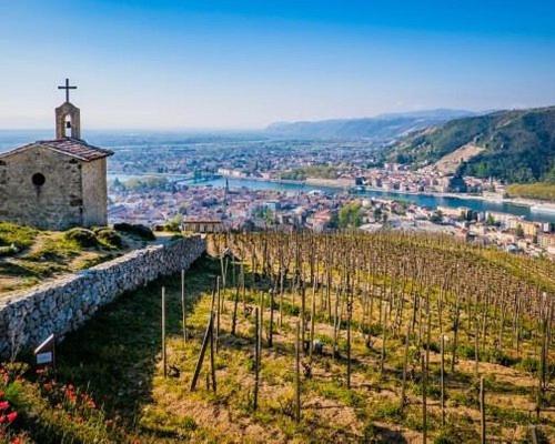 een kerk op een heuvel met een bos wijnranken bij Maison Essentielle in Tournon-sur-Rhône