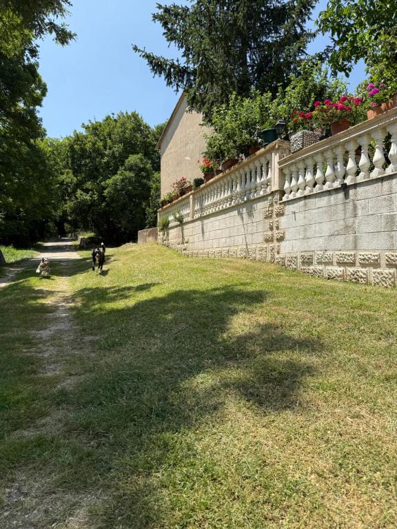 Vonkajšia záhrada v ubytovaní Apartman ANA