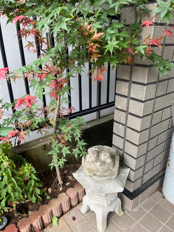 Zahrada ubytování TSURUNOYA The only private lodging in Tokyo Japanese TATAMI style 8 minutes walk from station FREE Parking 4rooms 12guests NEW OPEN ASAKUSA AKIHABARA SKYTREE nearby