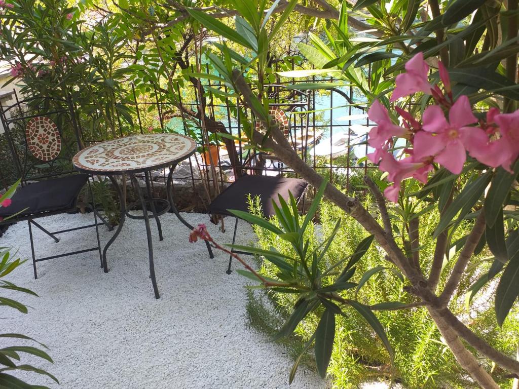 Zahrada ubytování Apartmani Pulić