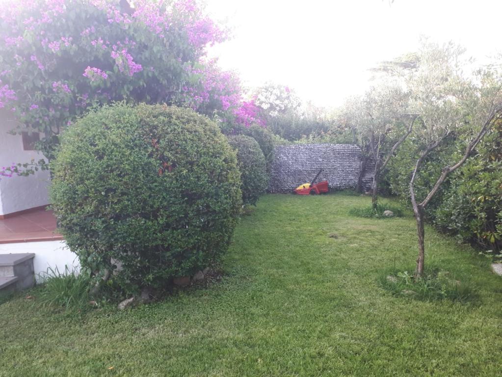 Ogród w obiekcie Villetta Bouganville