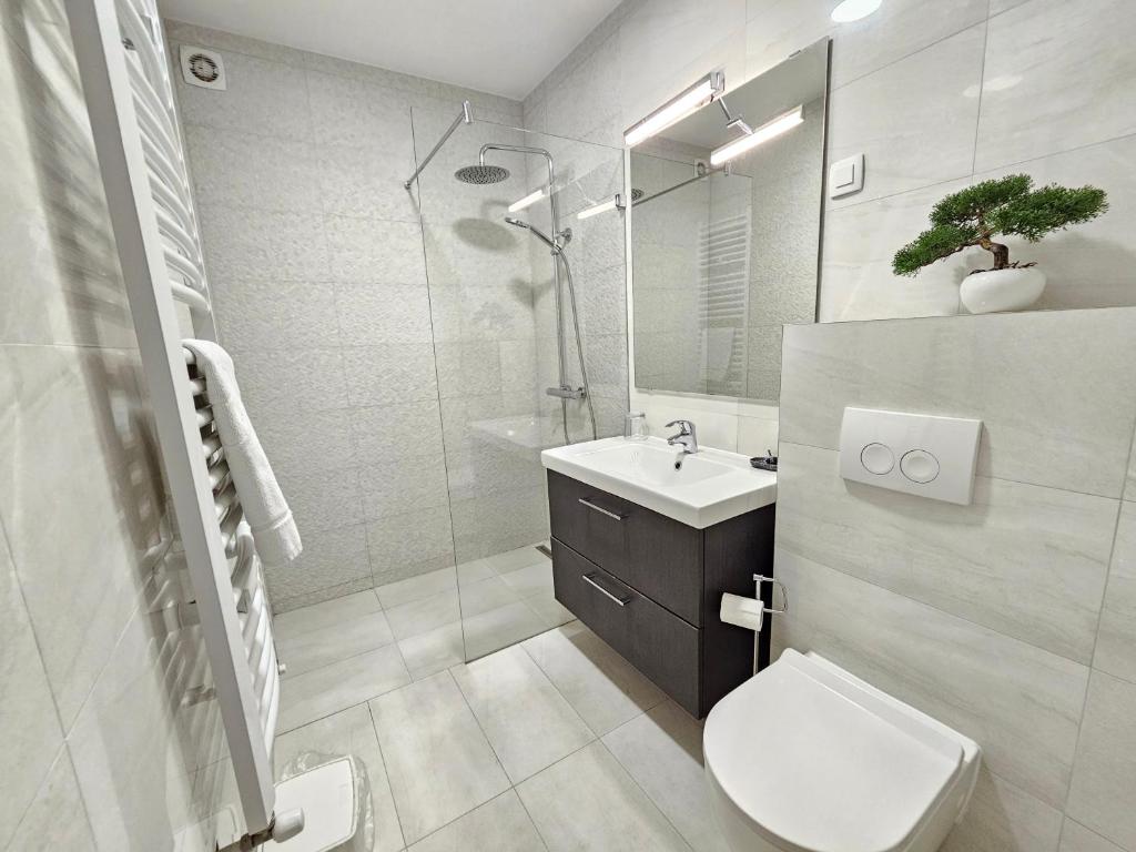 Koupelna v ubytování DAMIR - apartment with Jacuzzi