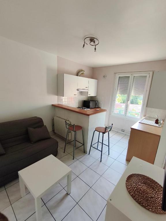 un petit salon avec un canapé et une cuisine dans l'établissement 101 Appartement, à Saint-Étienne