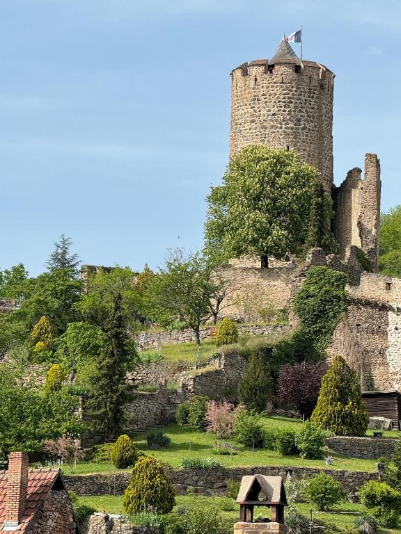 Le Rooftop du Schlossberg – photo 6