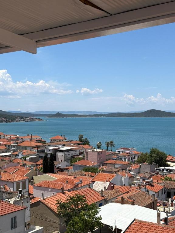 Φυσικό τοπίο κοντά σε αυτό το διαμέρισμα