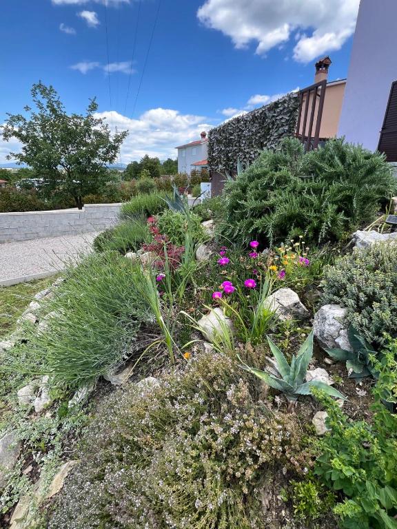 Vonkajšia záhrada v ubytovaní Villa El Istria