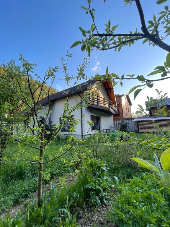 Zahrada ubytování Guest house Alyaska