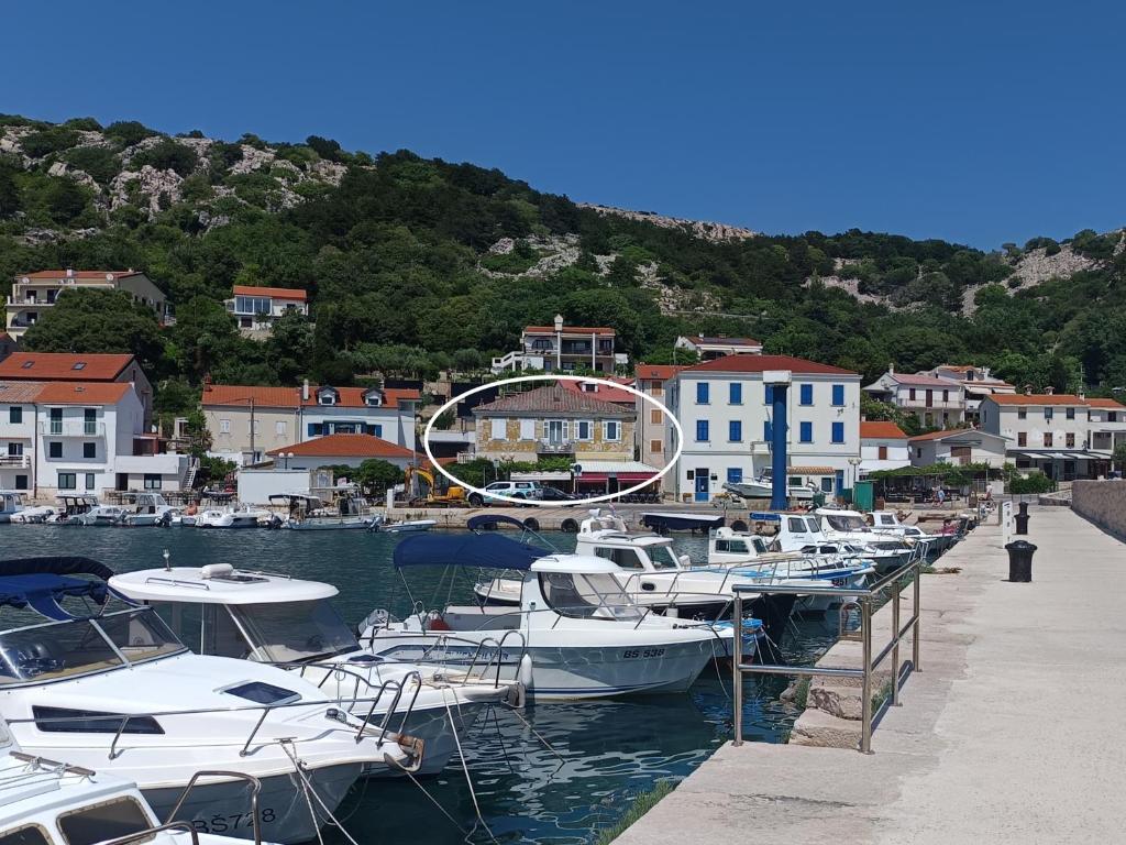 Naturlandskabet i nærheden af lejligheden