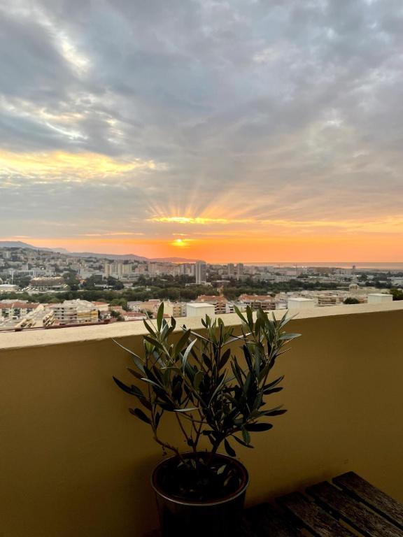 une plante en pot assise sur un balcon avec un coucher de soleil dans l'établissement Lea's cozy nest with a sea-mountain view, à Saint-Laurent-du-Var