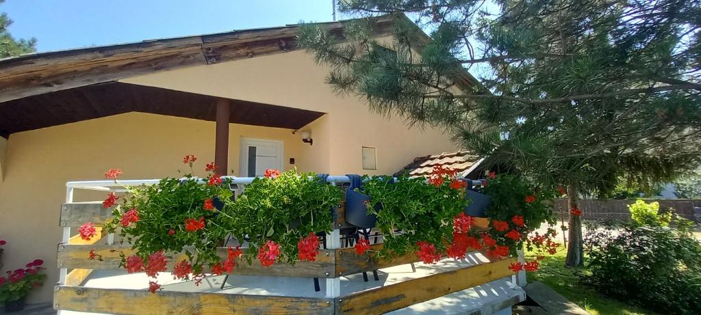 a garden in front of a house with red flowers at PIAR in Subotica