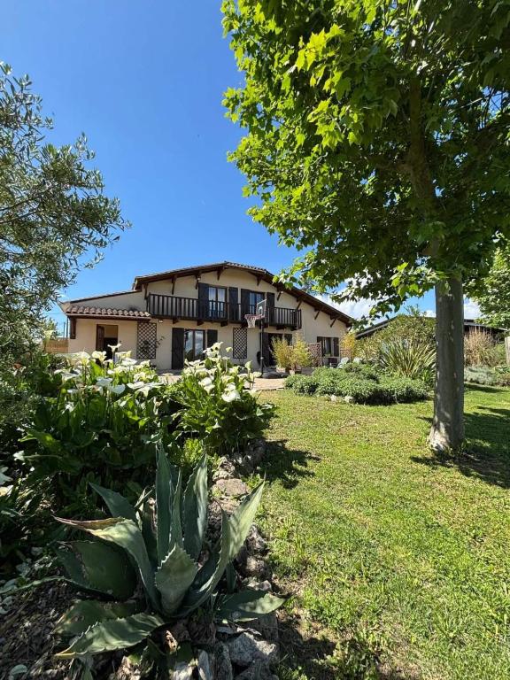 une plante d’ananas devant une maison dans l'établissement Le Chai du Père Igord - 20 personnes, à Monestier