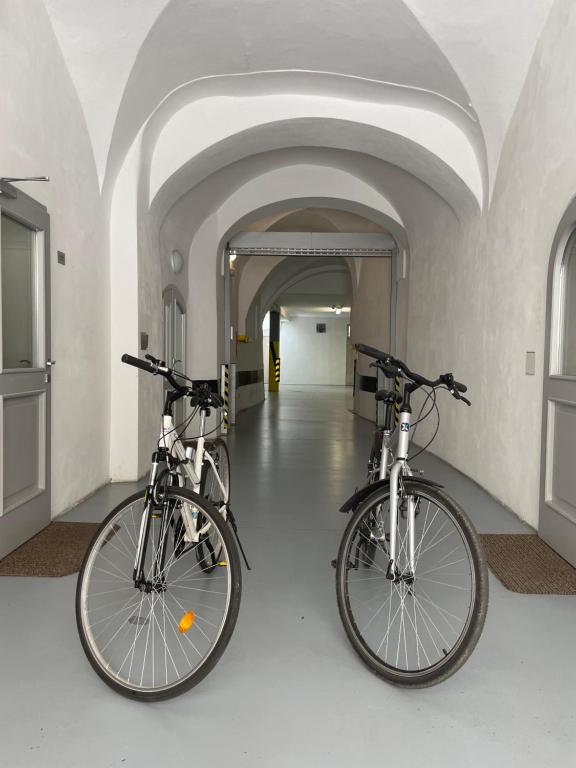 Hotel U Trí hrušek suites & apartments - Resim 31