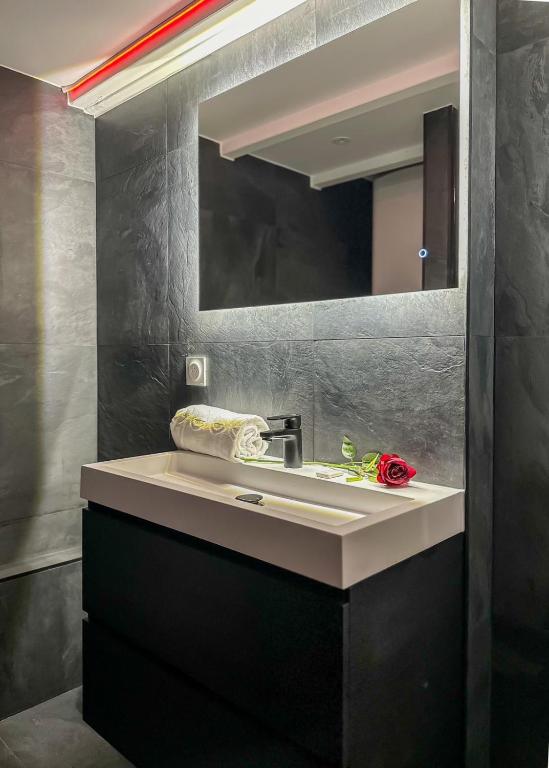 une salle de bain avec un lavabo et un miroir dans l'établissement Atypique sous chateau vieille ville AC, à Annecy