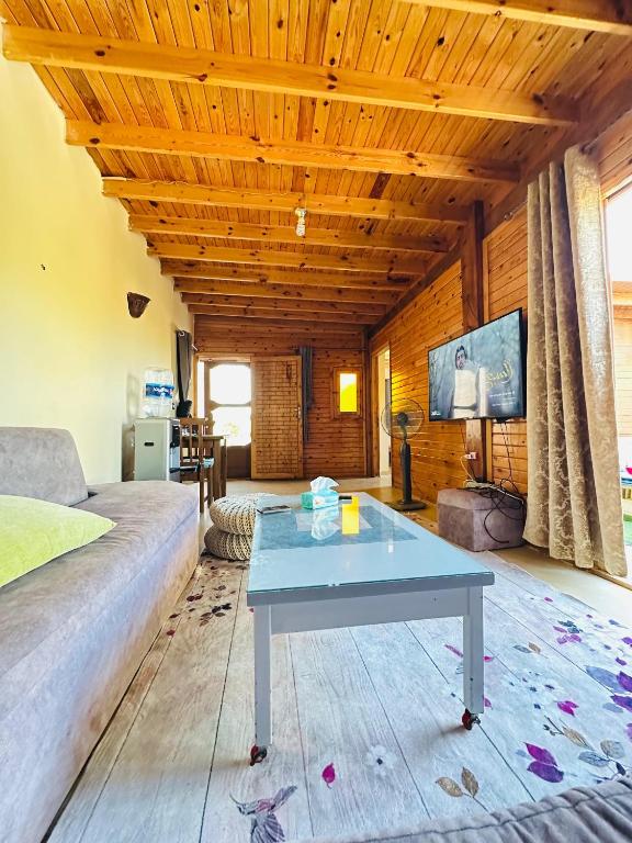 TV a/nebo společenská místnost v ubytování wooden house
