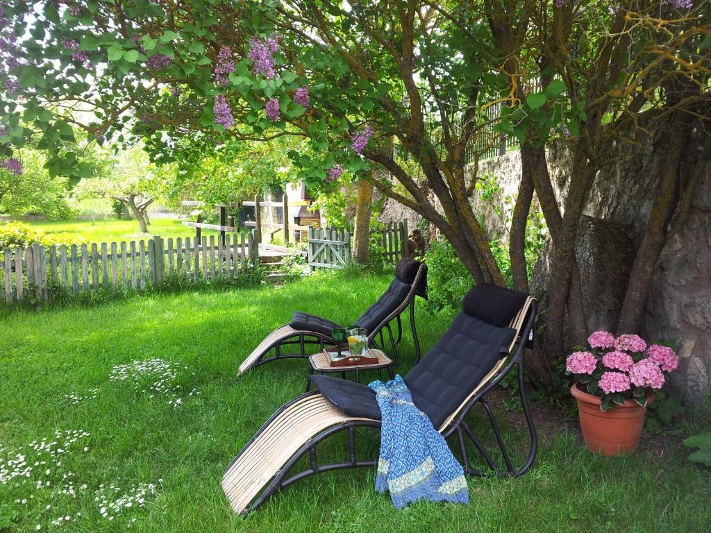 2 chaises et une table sous un arbre dans l'établissement Molino De La Vega, à Arcos