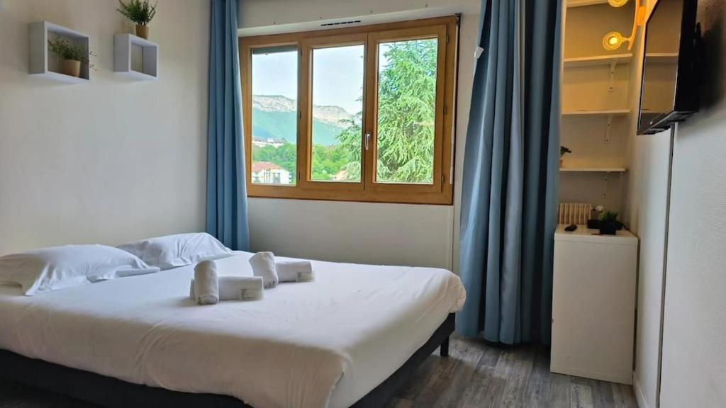 une chambre avec un grand lit avec une fenêtre dans l'établissement Chez loverchy, à Annecy